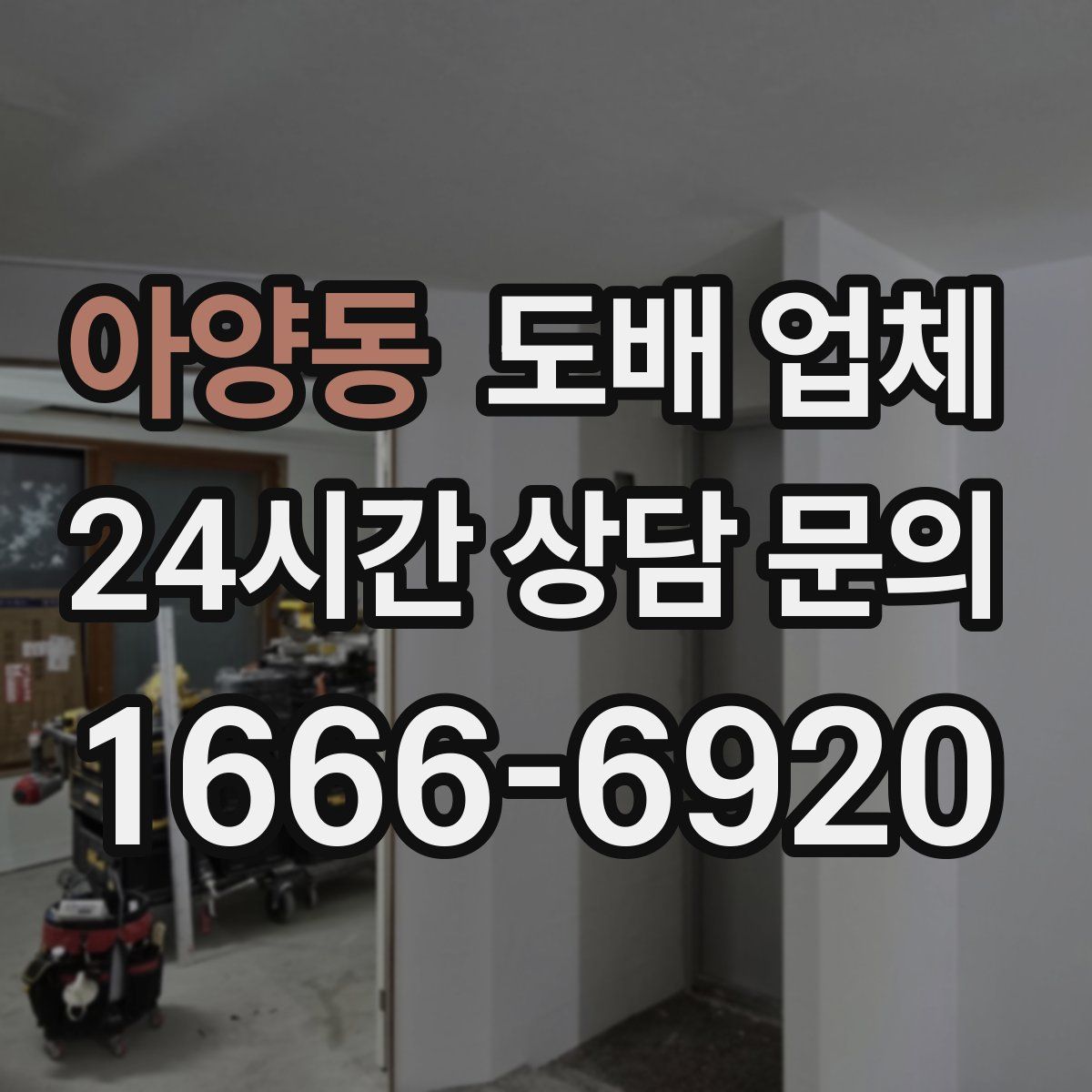 아양동 도배 업체