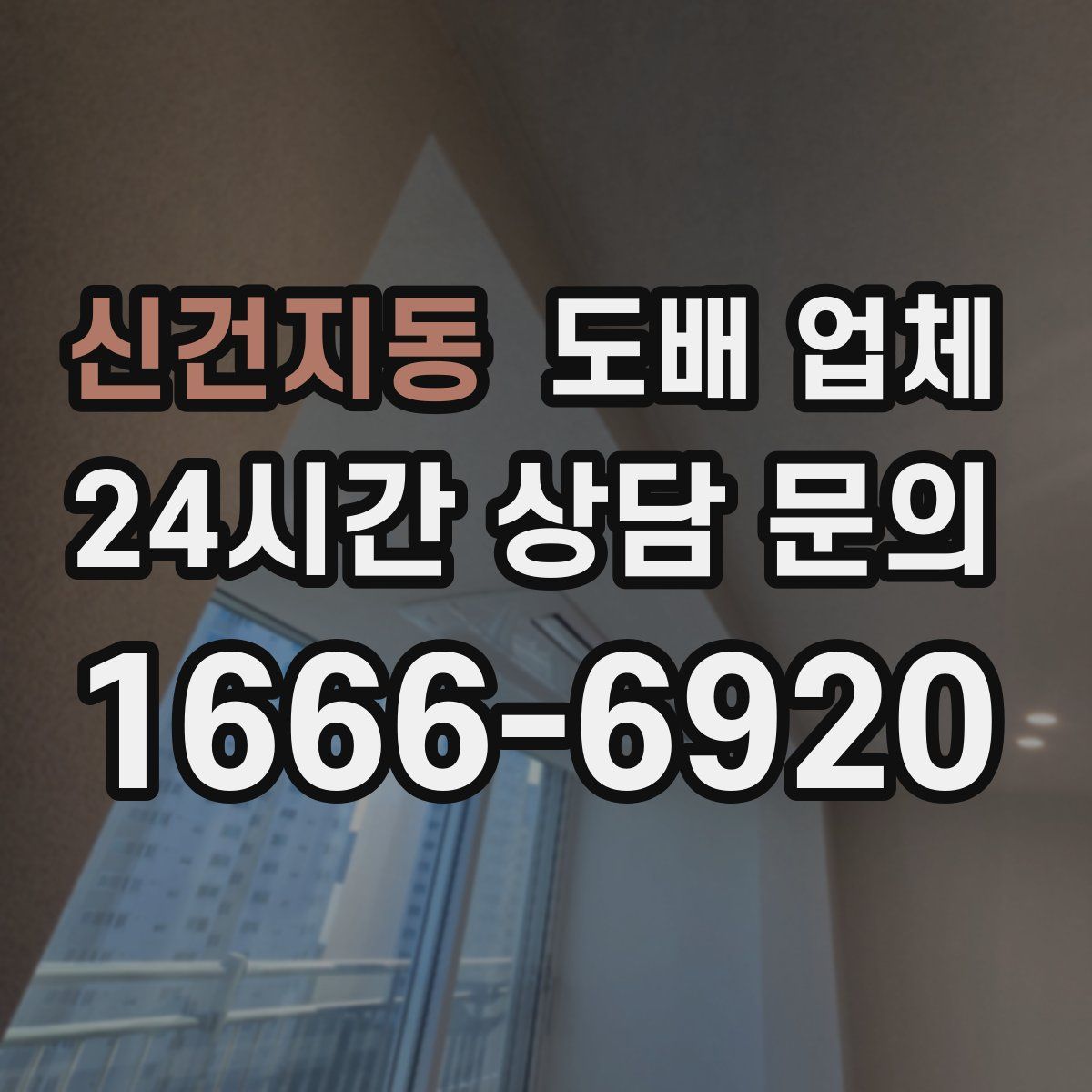 신건지동 도배 업체