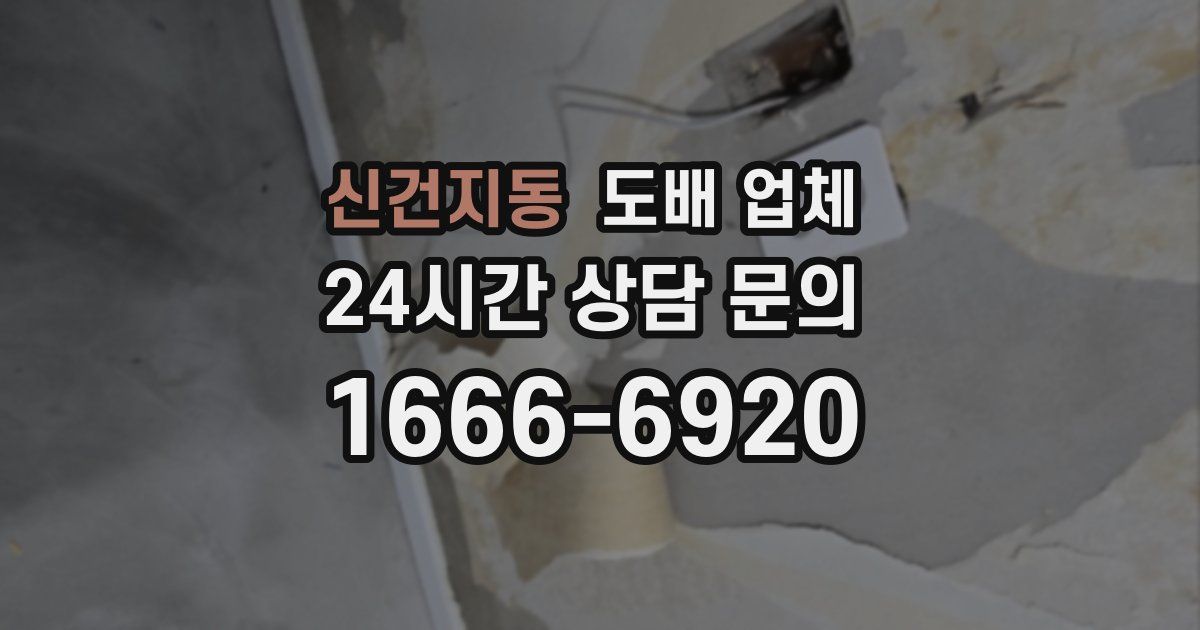 신건지동 도배 업체