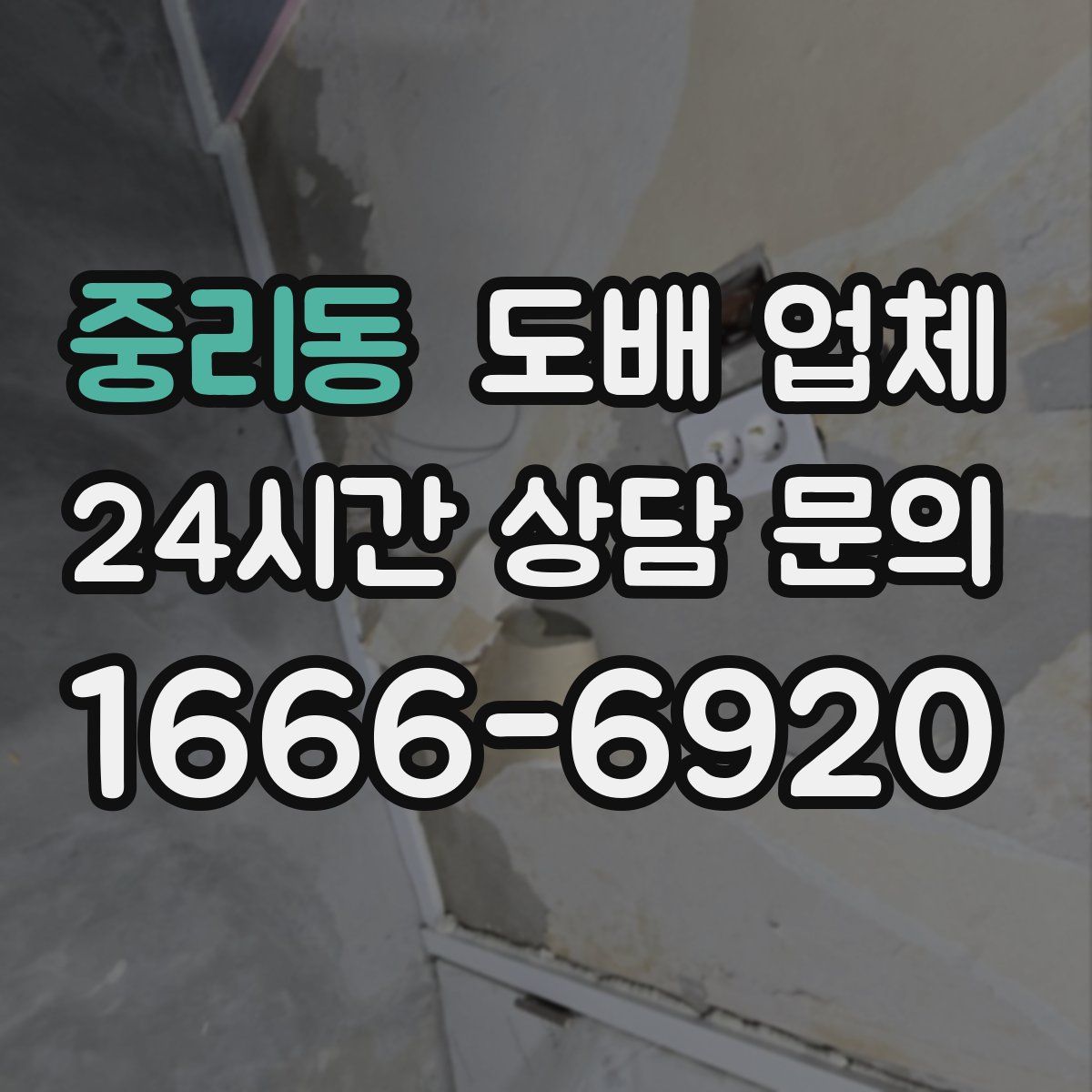 중리동 도배 업체