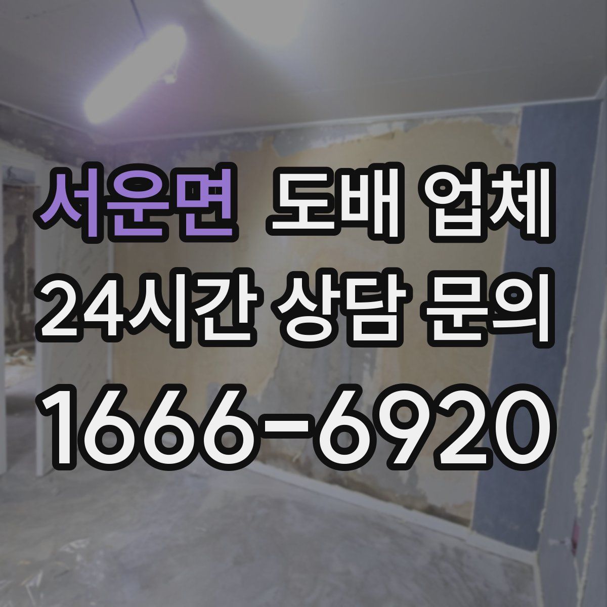 서운면 도배 업체