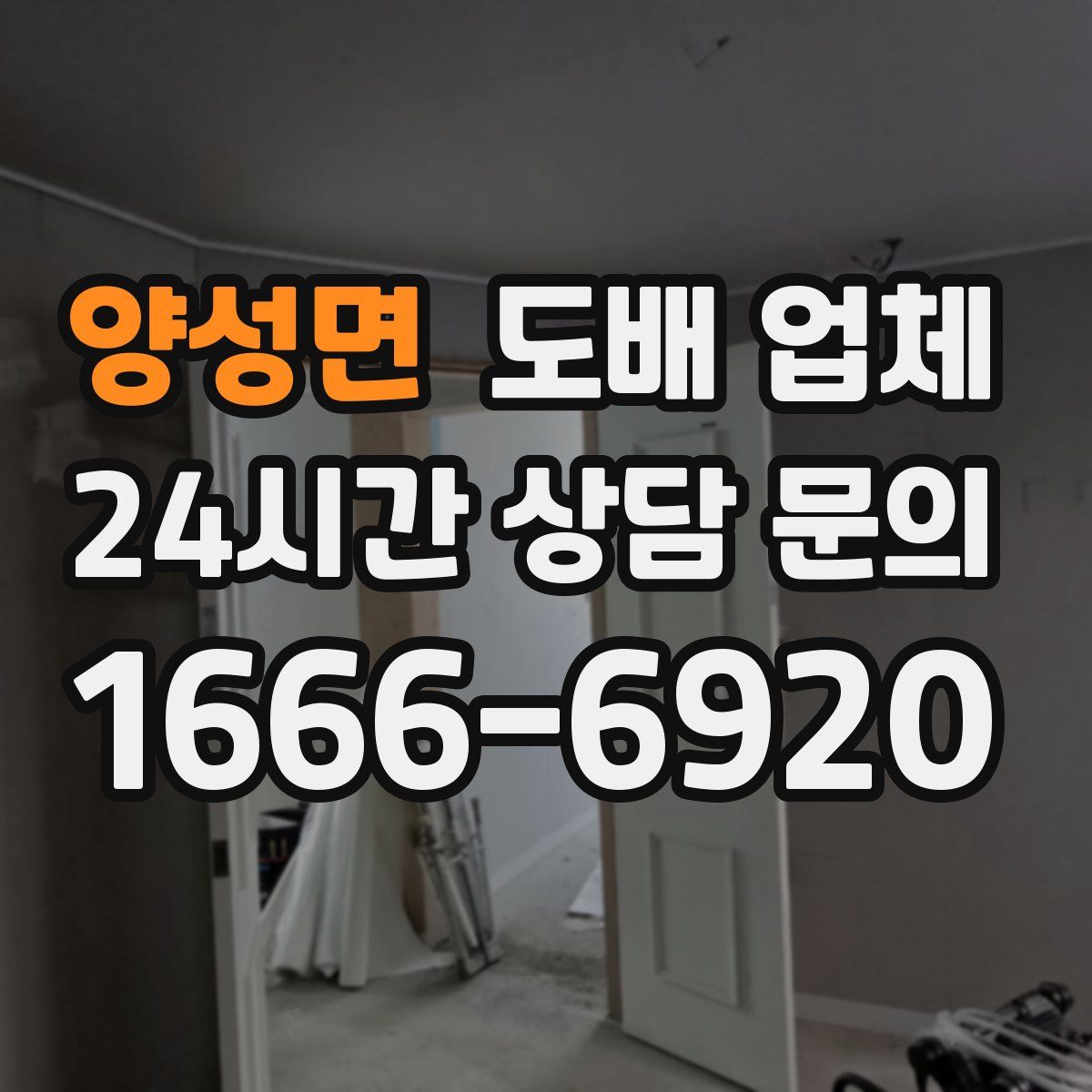 양성면 도배 업체