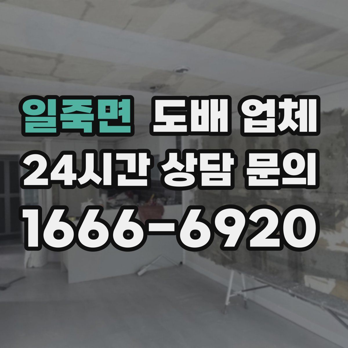 일죽면 도배 업체