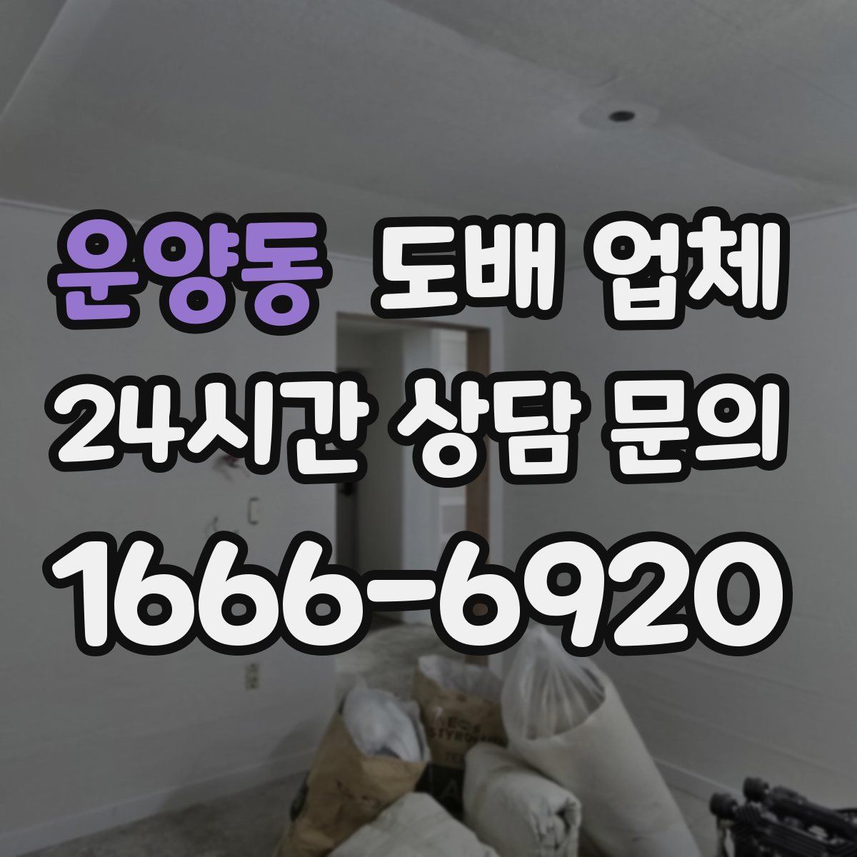 운양동 도배 업체