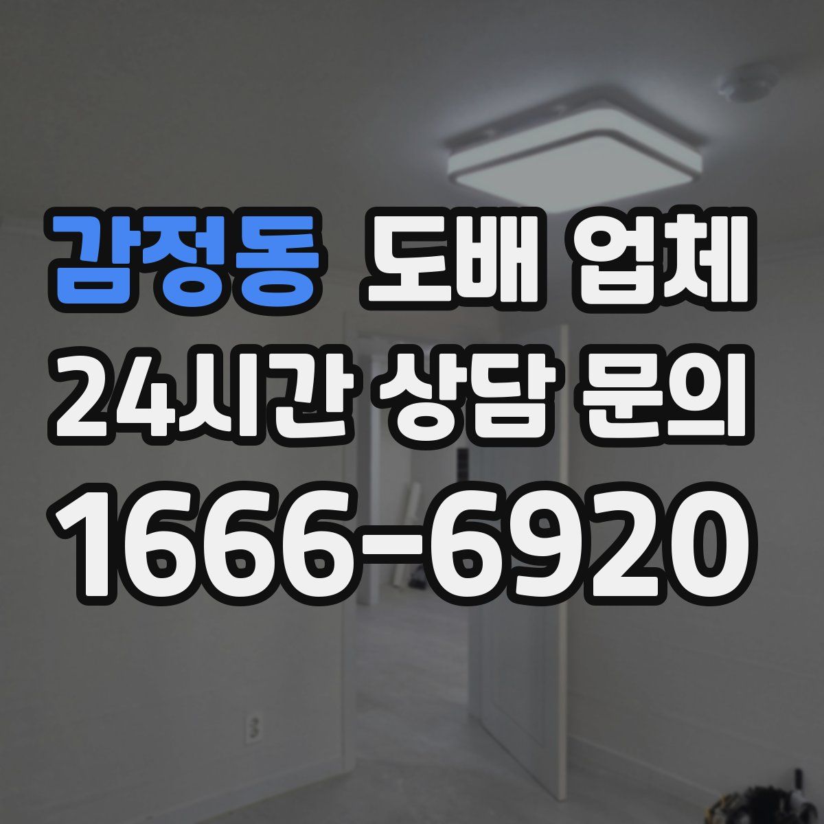 감정동 도배 업체