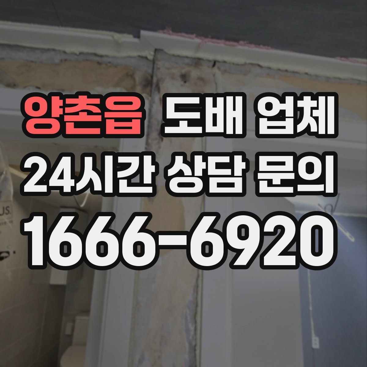 양촌읍 도배 업체