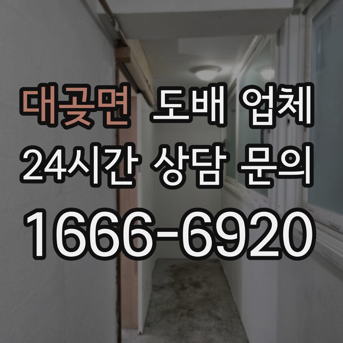 대곶면 도배 업체