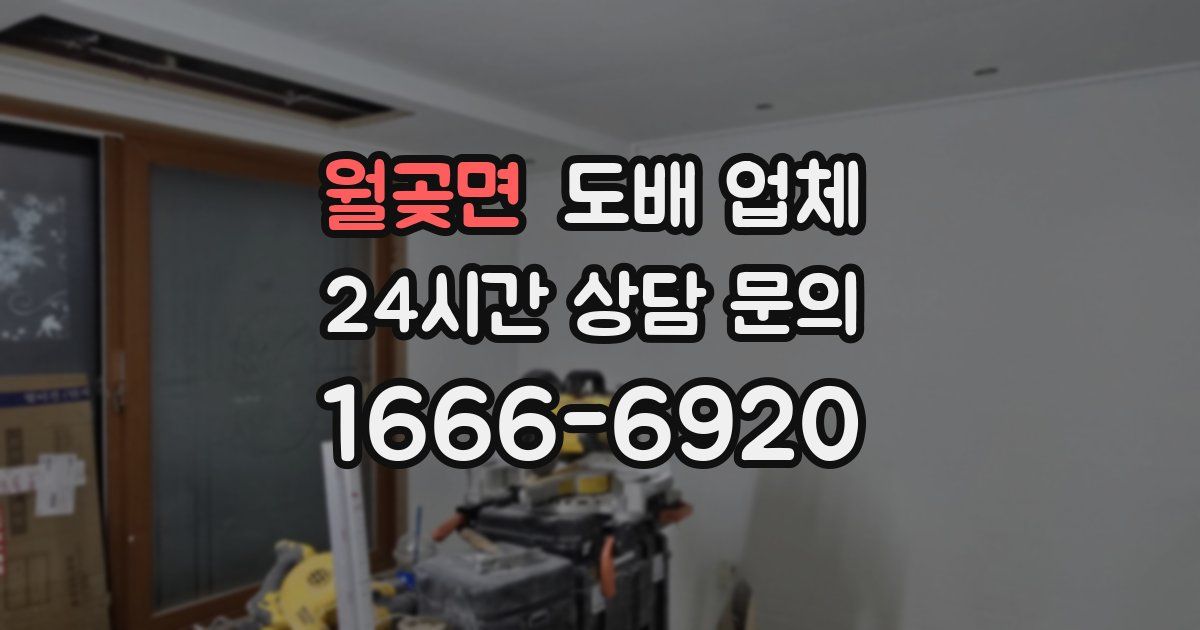 월곶면 도배 업체