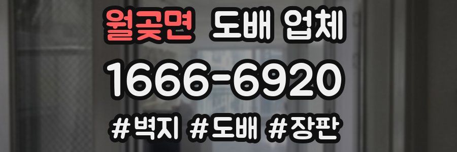 월곶면 도배 업체