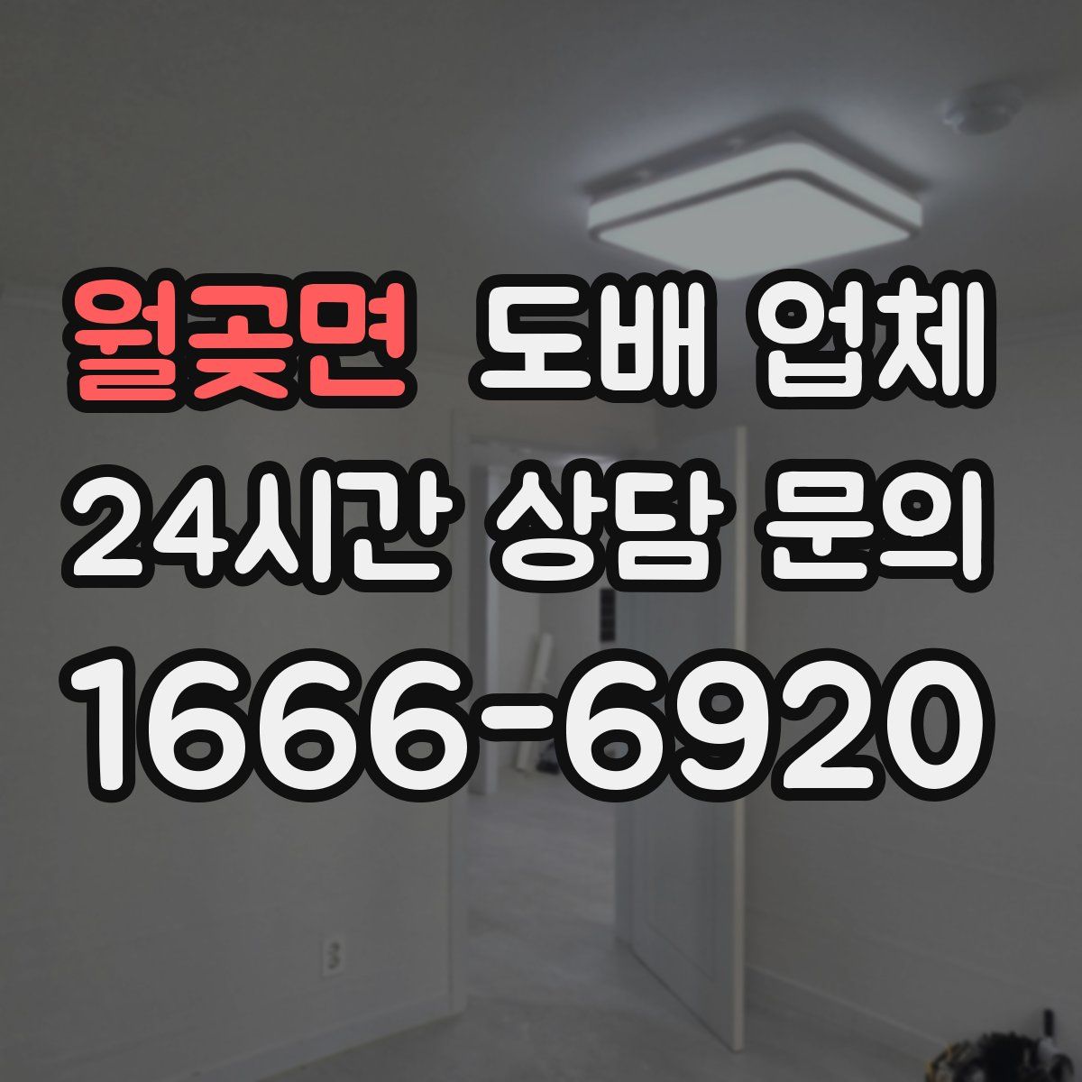 월곶면 도배 업체