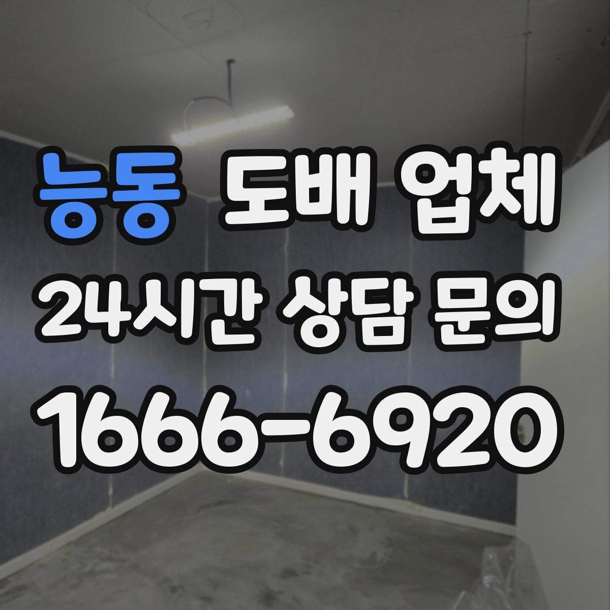 능동 도배 업체