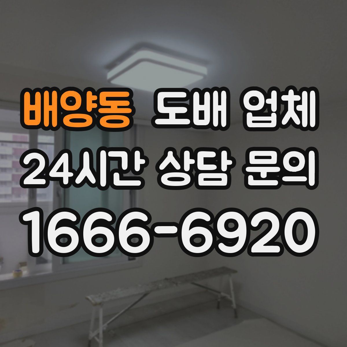배양동 도배 업체