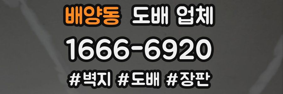 배양동 도배 업체