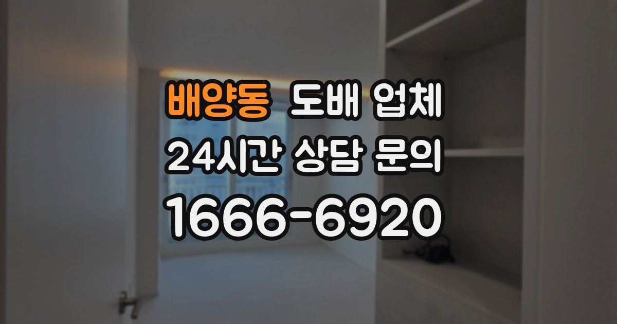 배양동 도배 업체