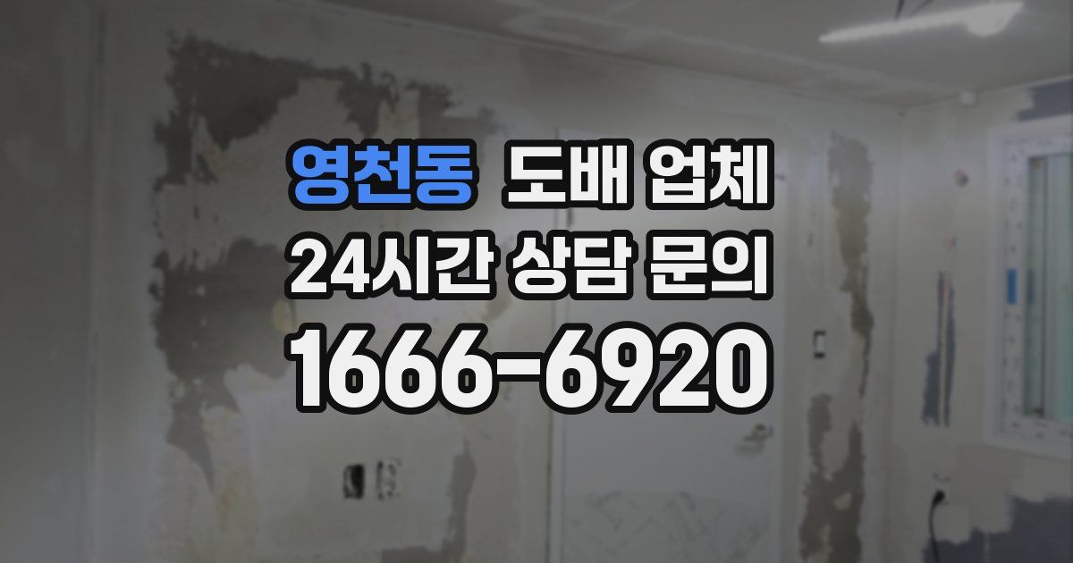 영천동 도배 업체