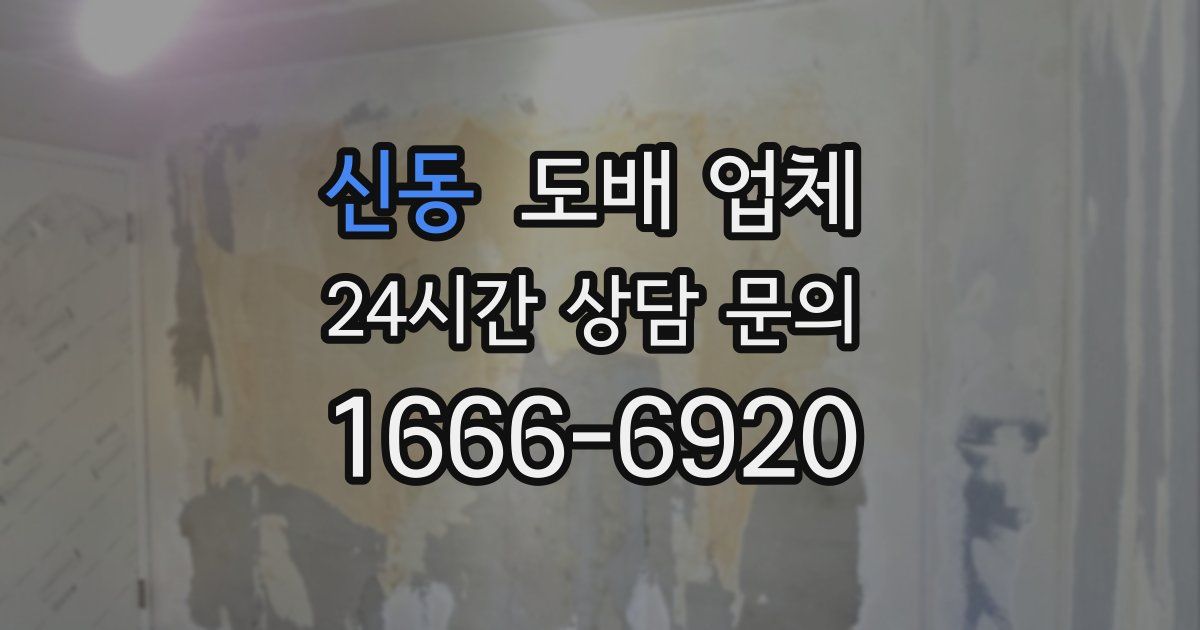 신동 도배 업체