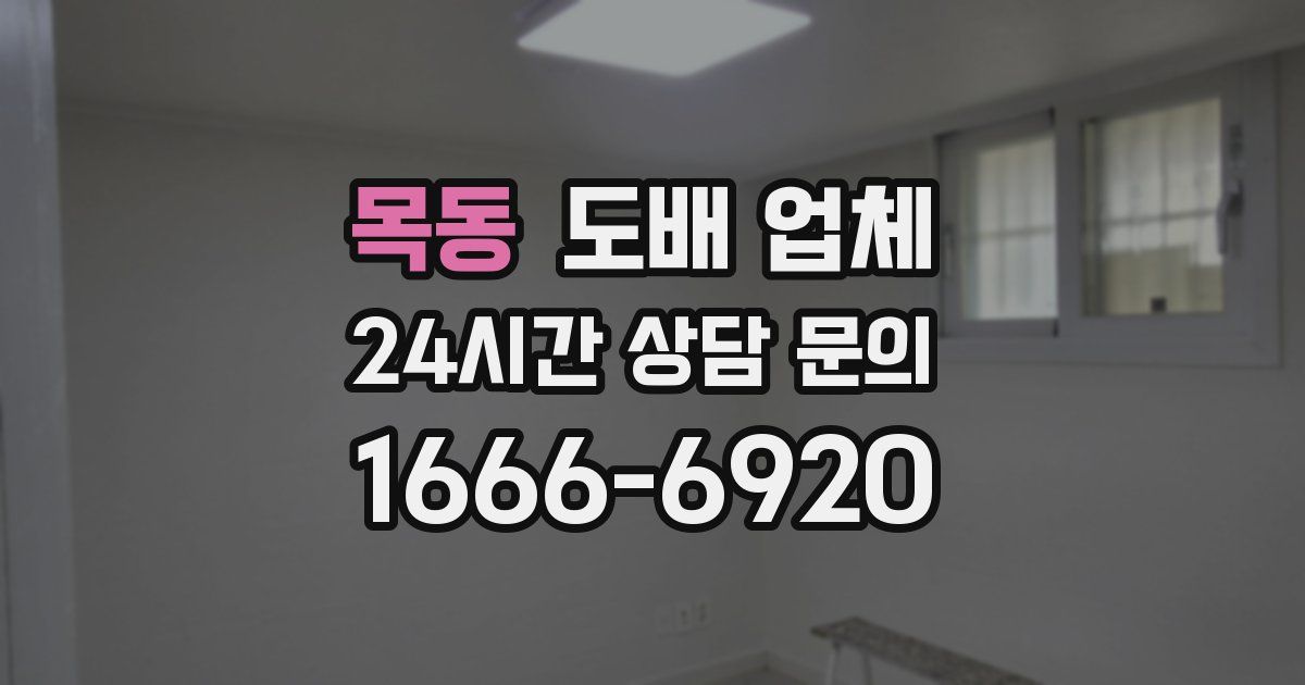 목동 도배 업체