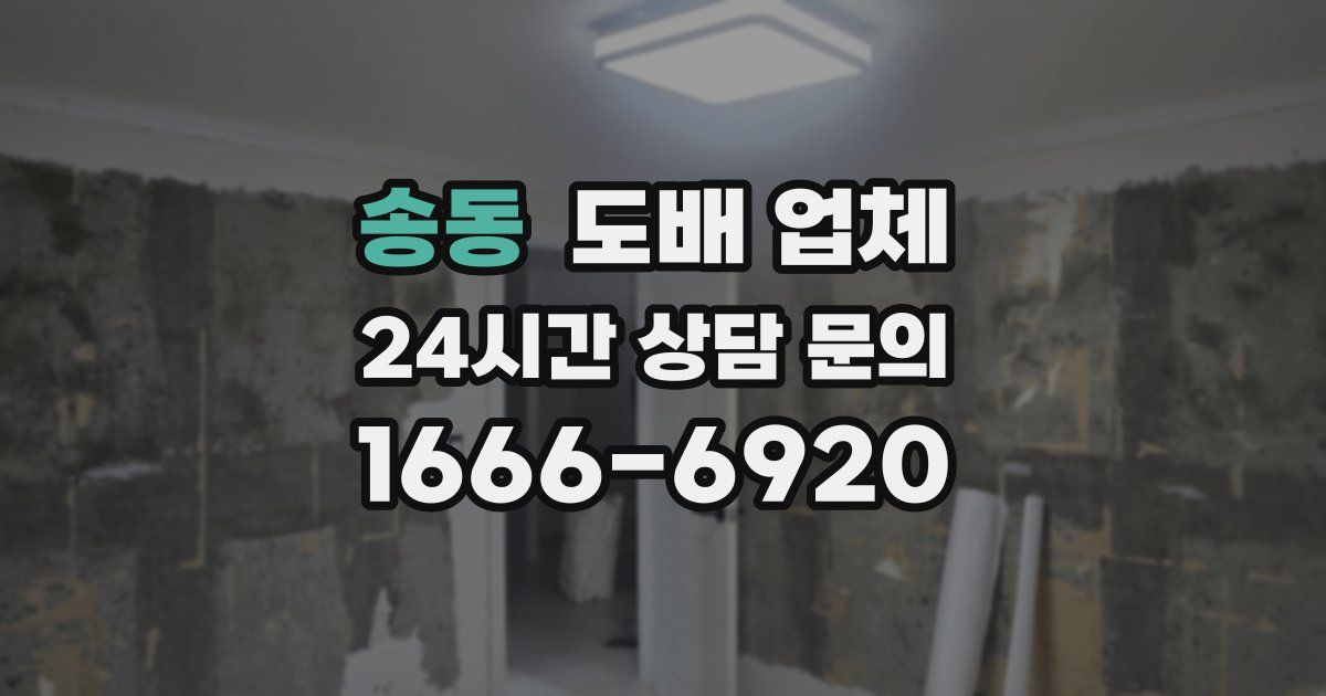 송동 도배 업체