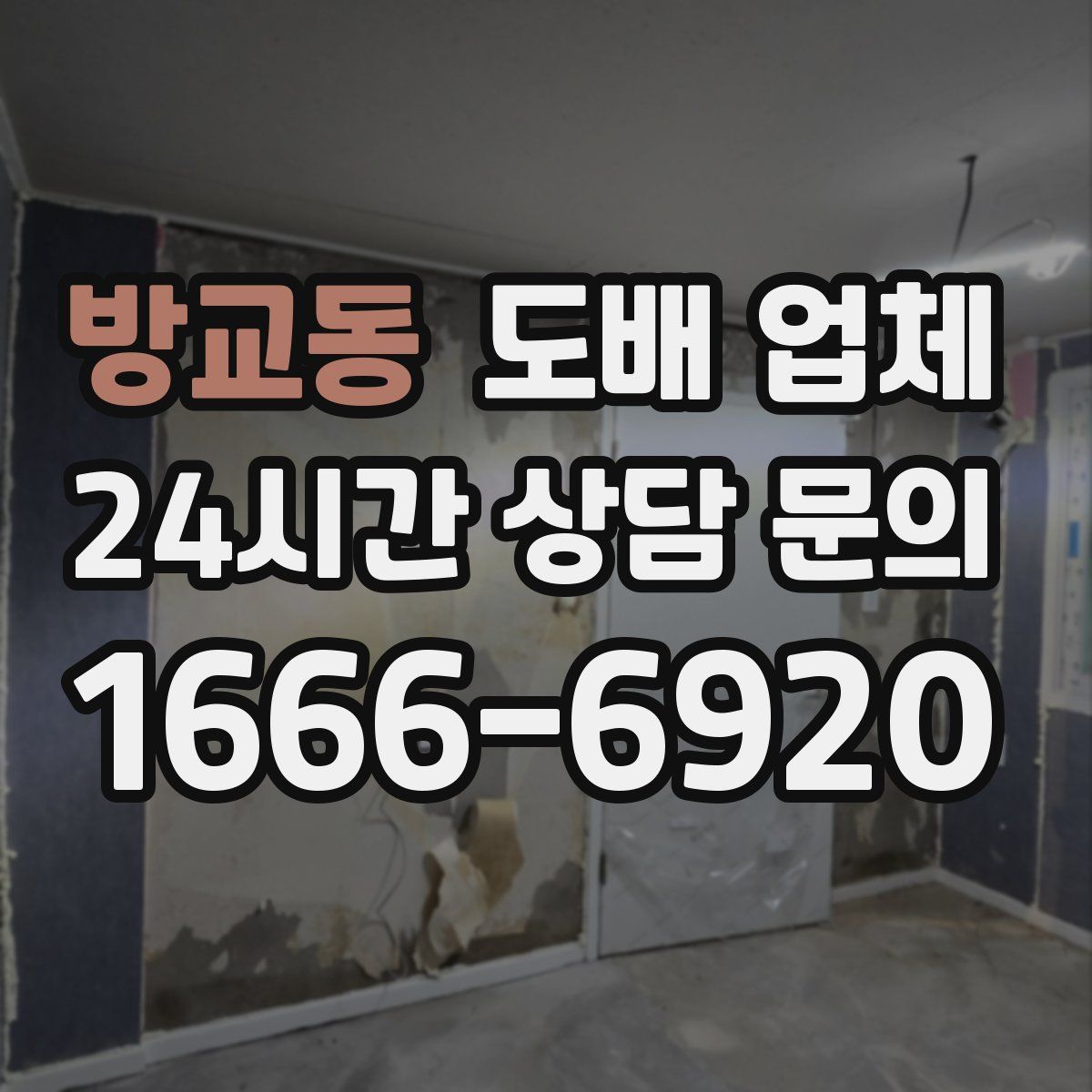 방교동 도배 업체