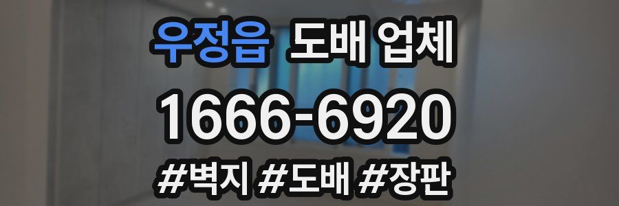 우정읍 도배 업체