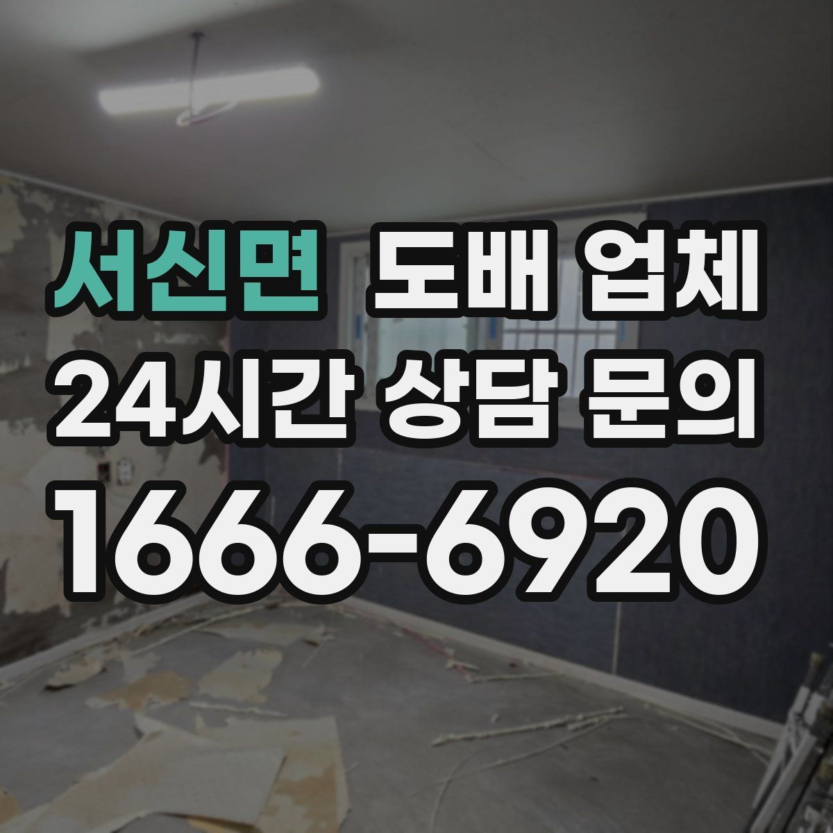 서신면 도배 업체