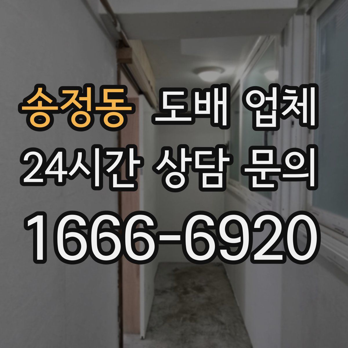 송정동 도배 업체