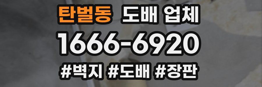 탄벌동 도배 업체