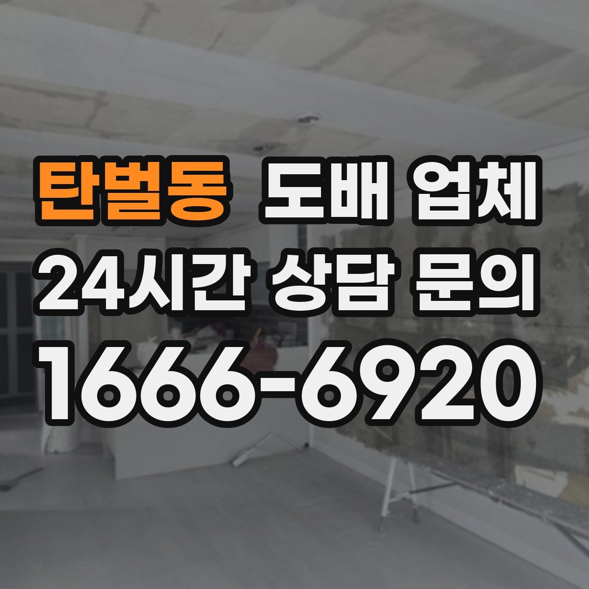 탄벌동 도배 업체