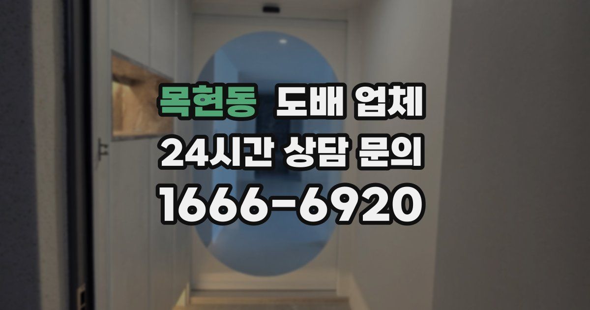 목현동 도배 업체