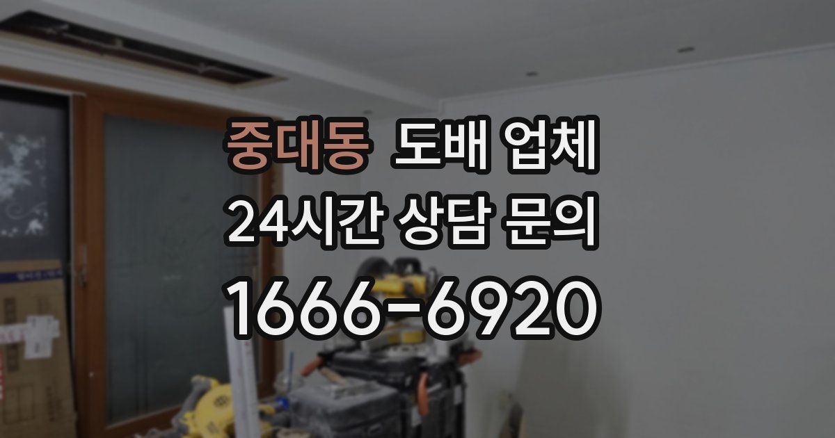 중대동 도배 업체