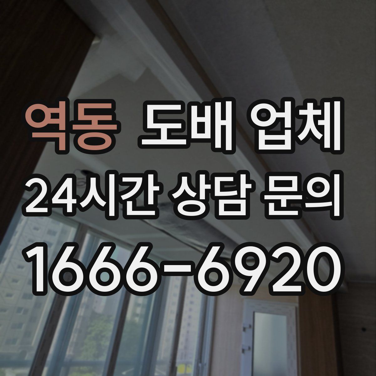 역동 도배 업체
