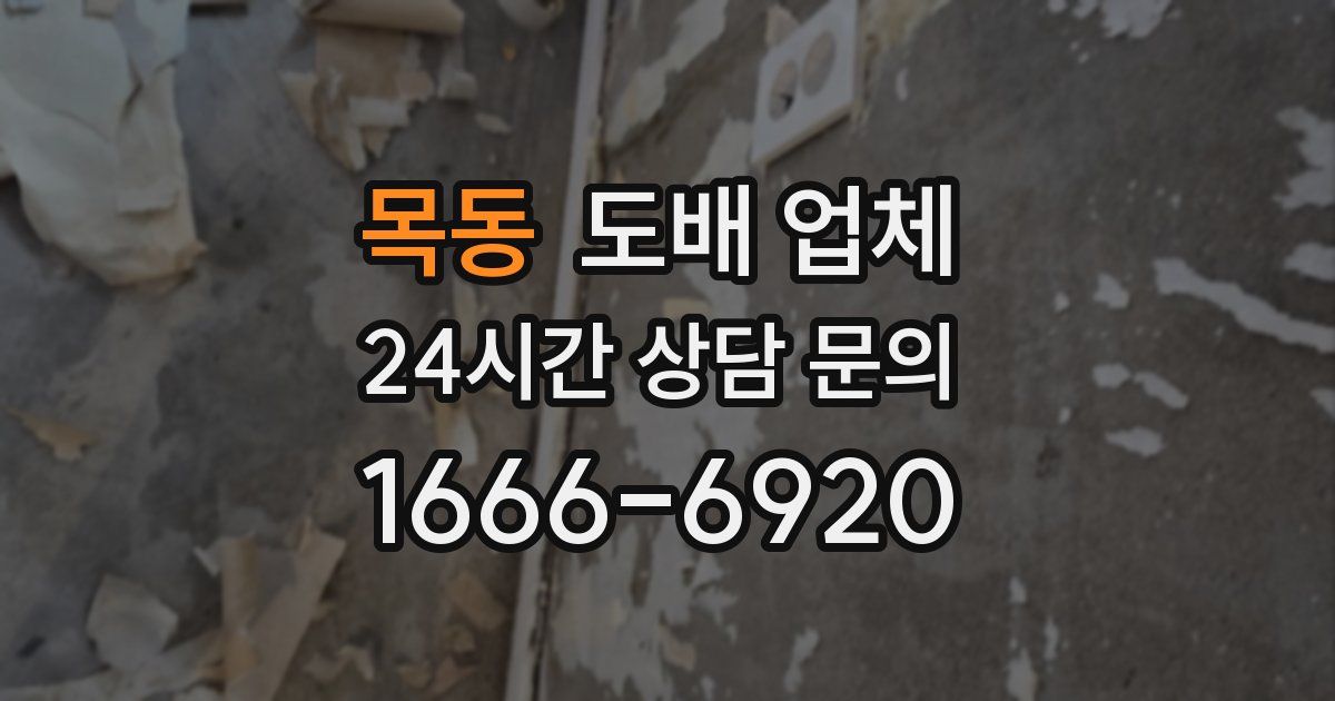 목동 도배 업체
