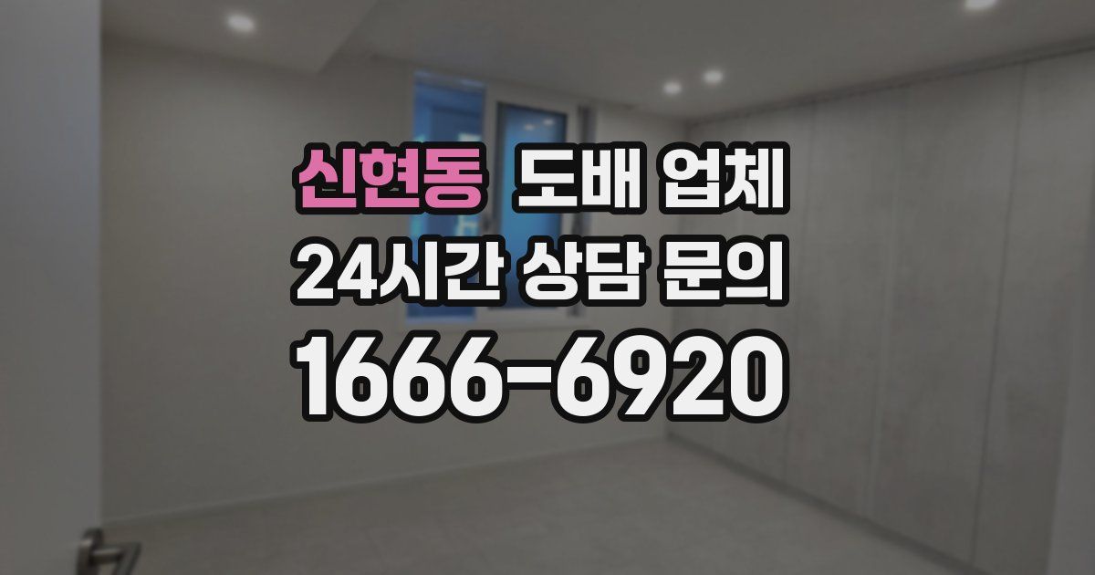 신현동 도배 업체
