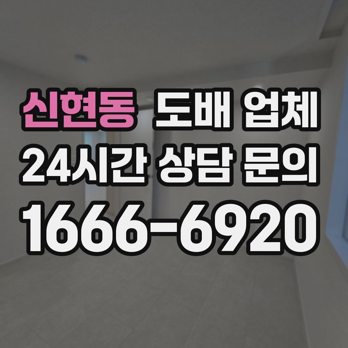 신현동 도배 업체