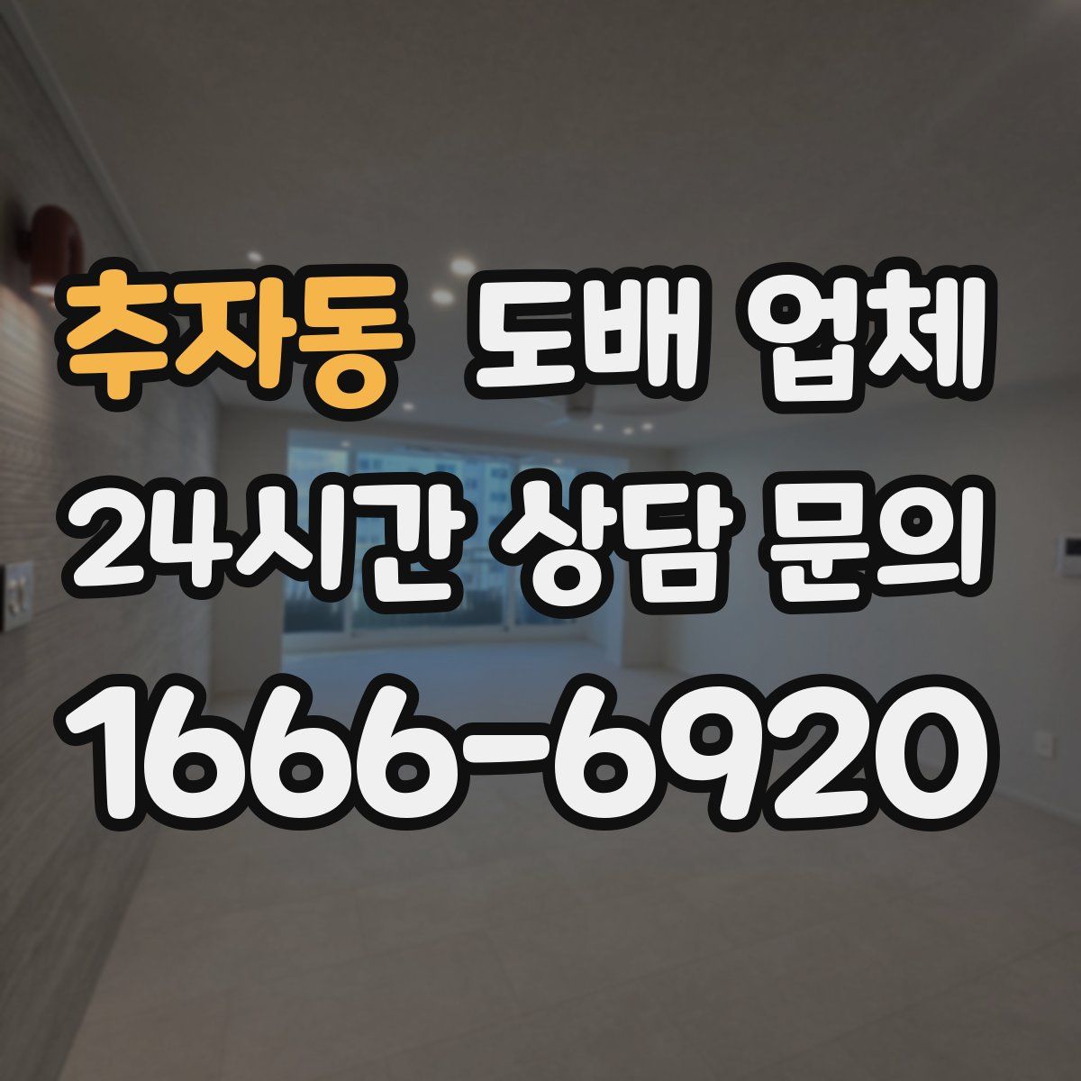 추자동 도배 업체
