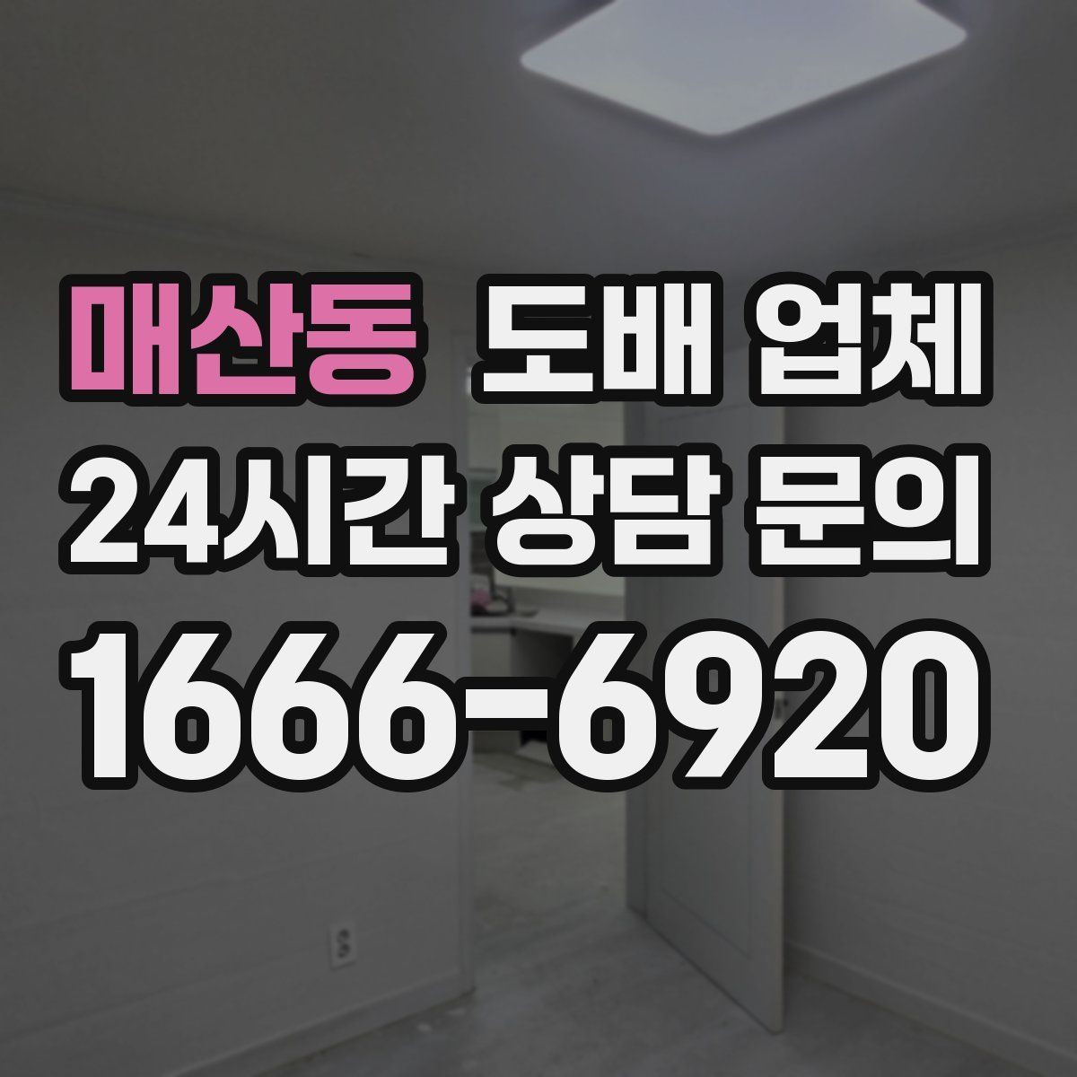 매산동 도배 업체