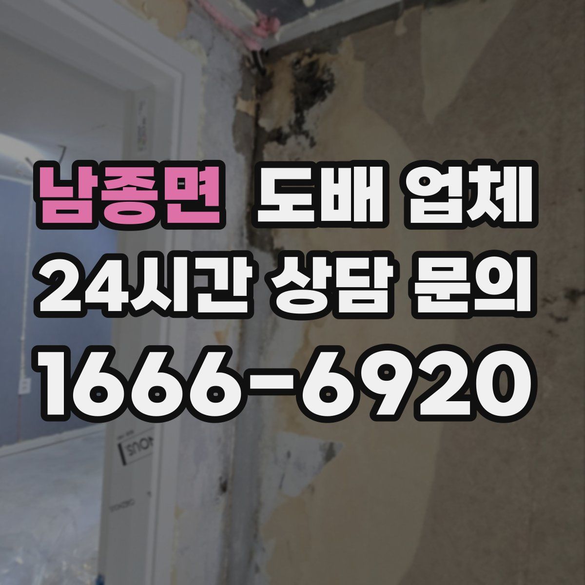 남종면 도배 업체