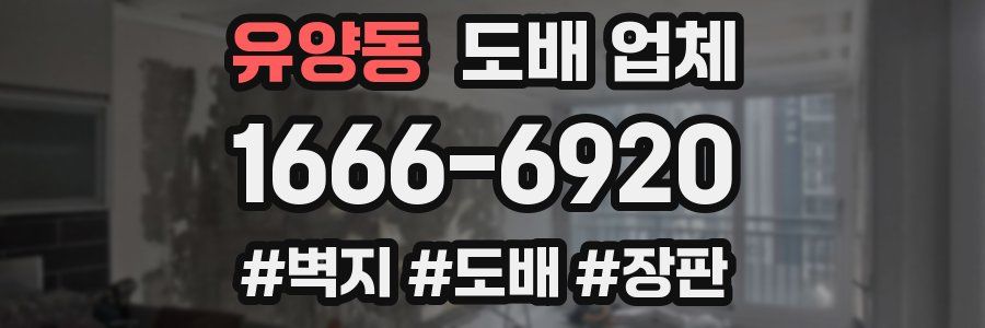 유양동 도배 업체