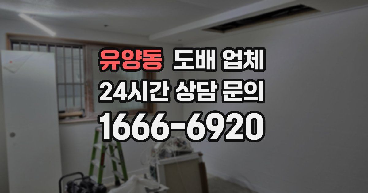 유양동 도배 업체