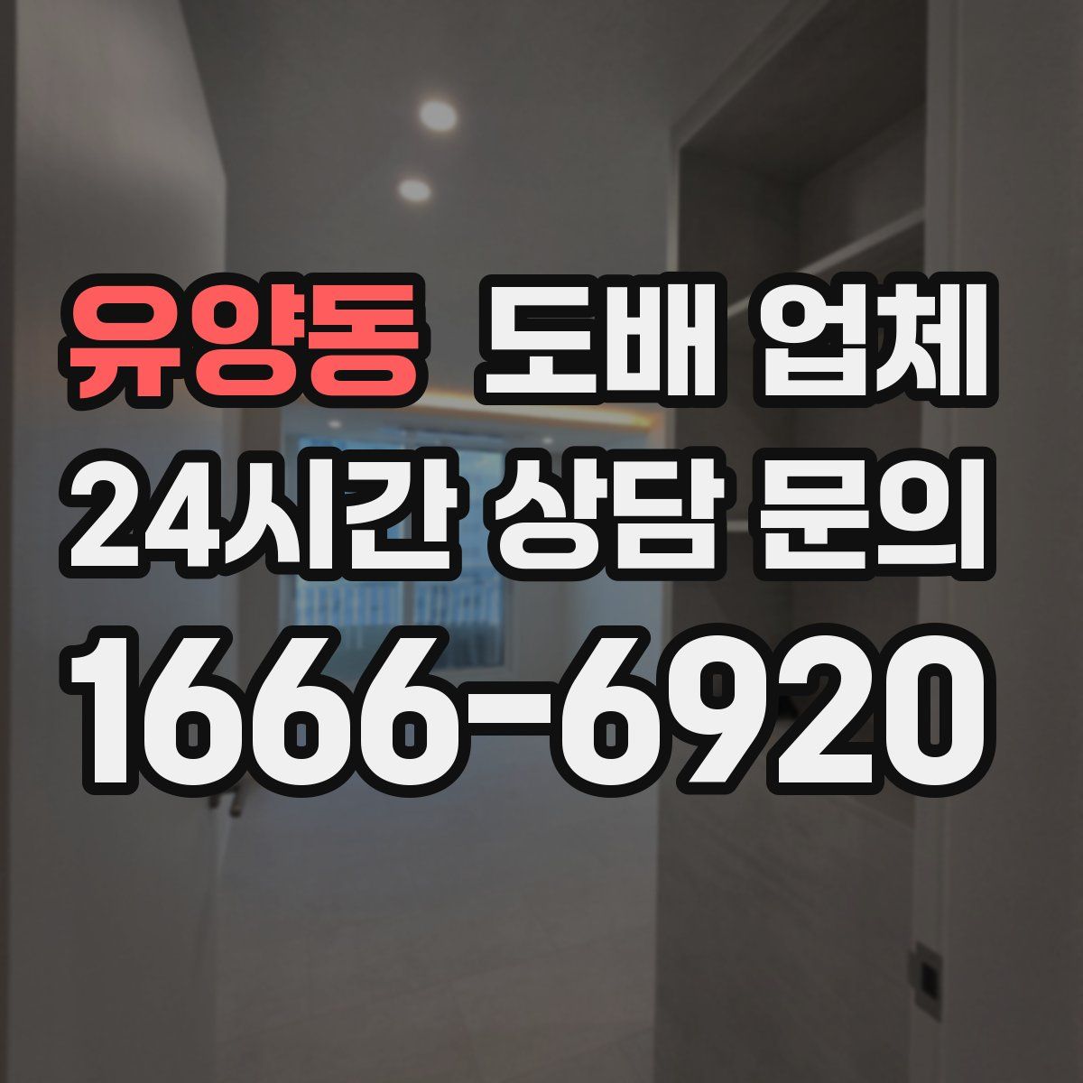 유양동 도배 업체