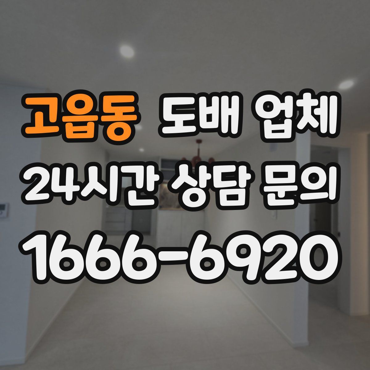 고읍동 도배 업체