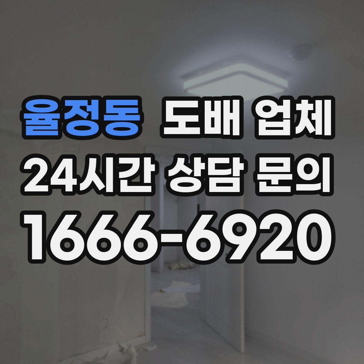 율정동 도배 업체