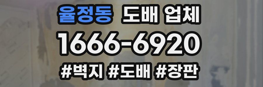 율정동 도배 업체