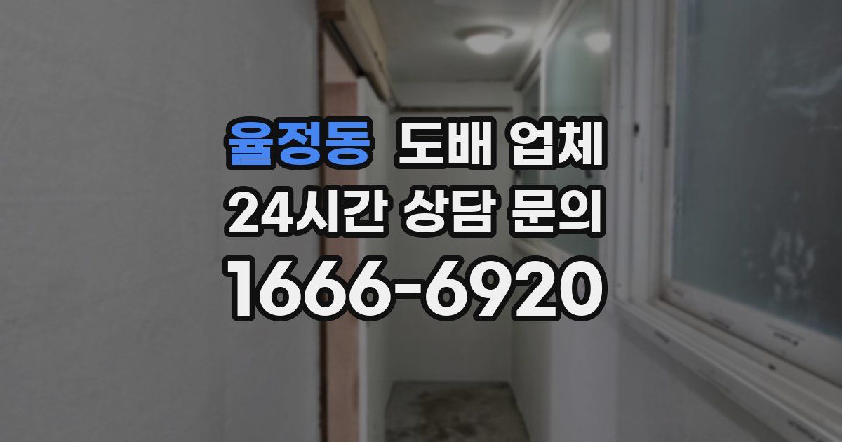 율정동 도배 업체