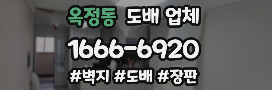 옥정동 도배 업체