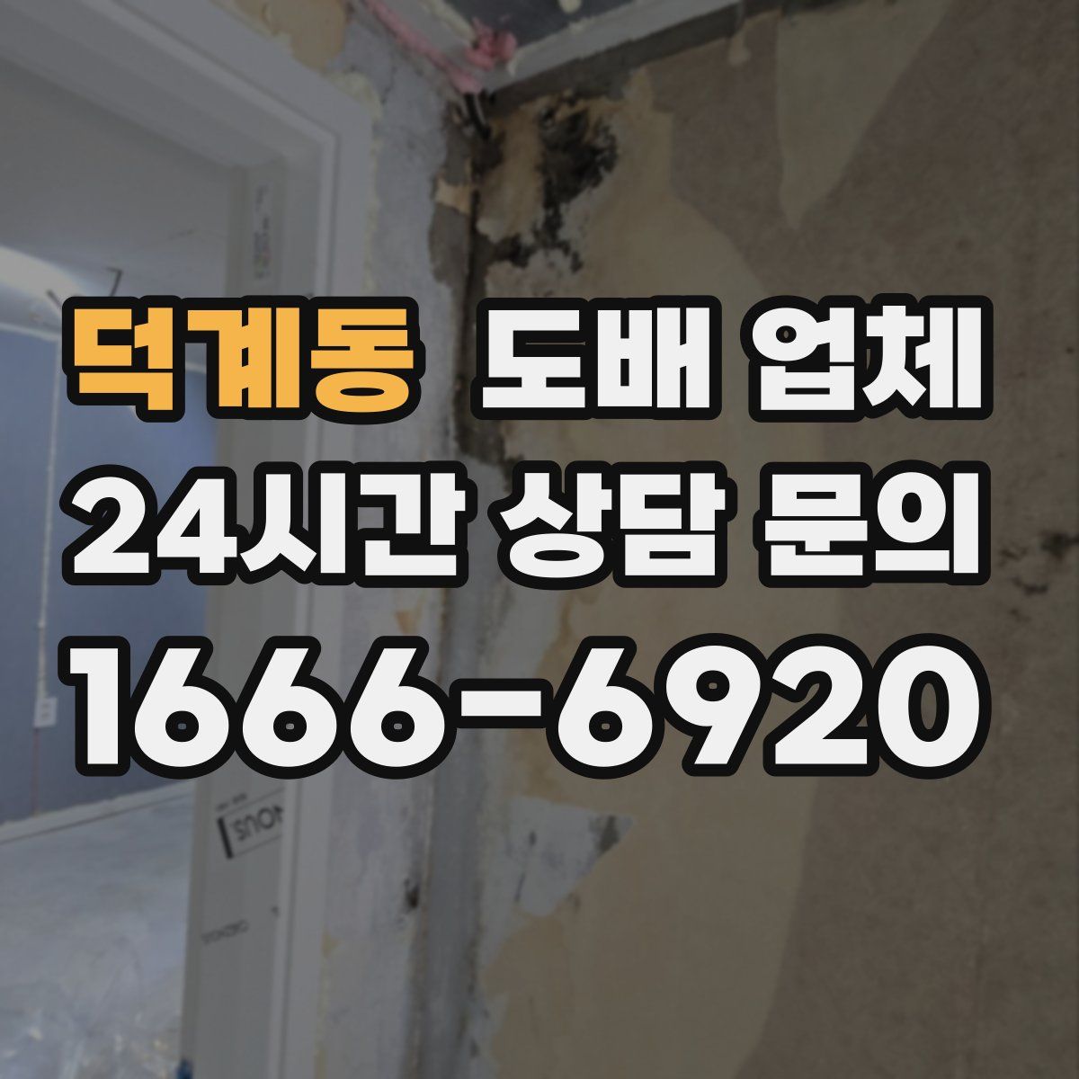 덕계동 도배 업체