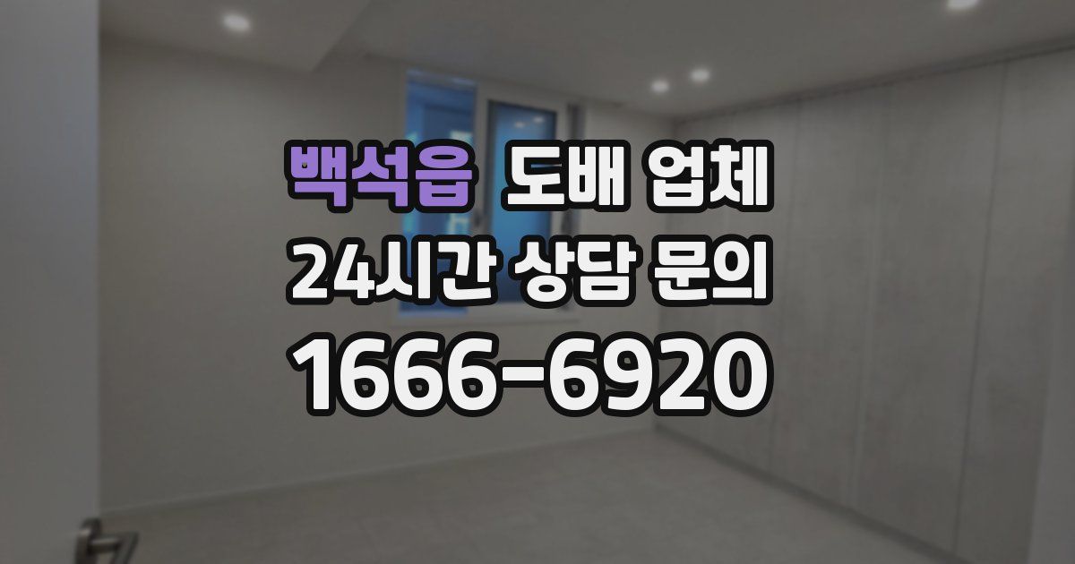 백석읍 도배 업체