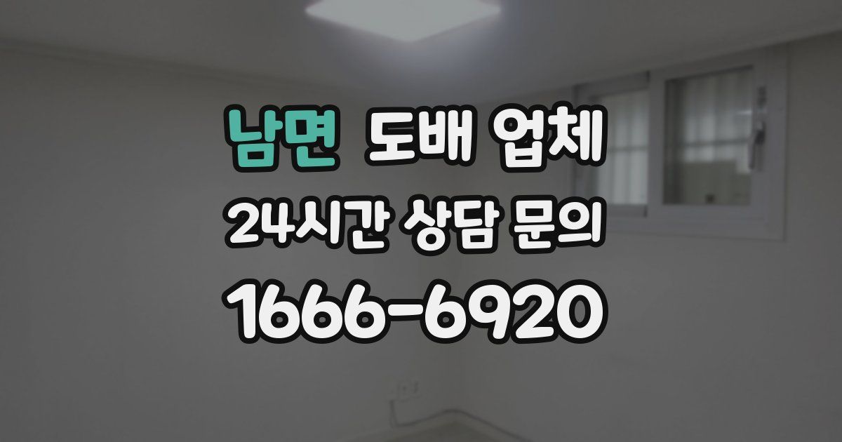 남면 도배 업체