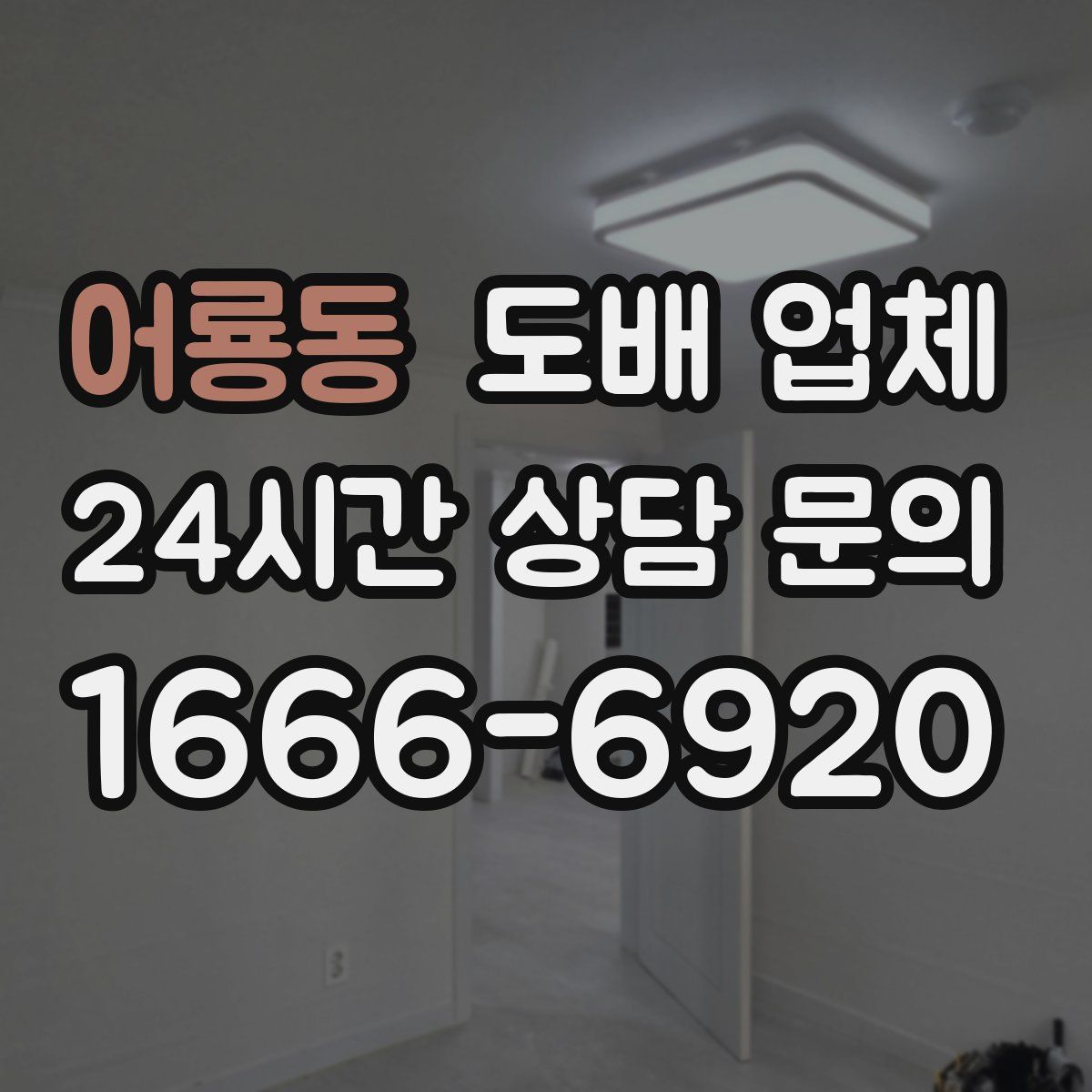 어룡동 도배 업체