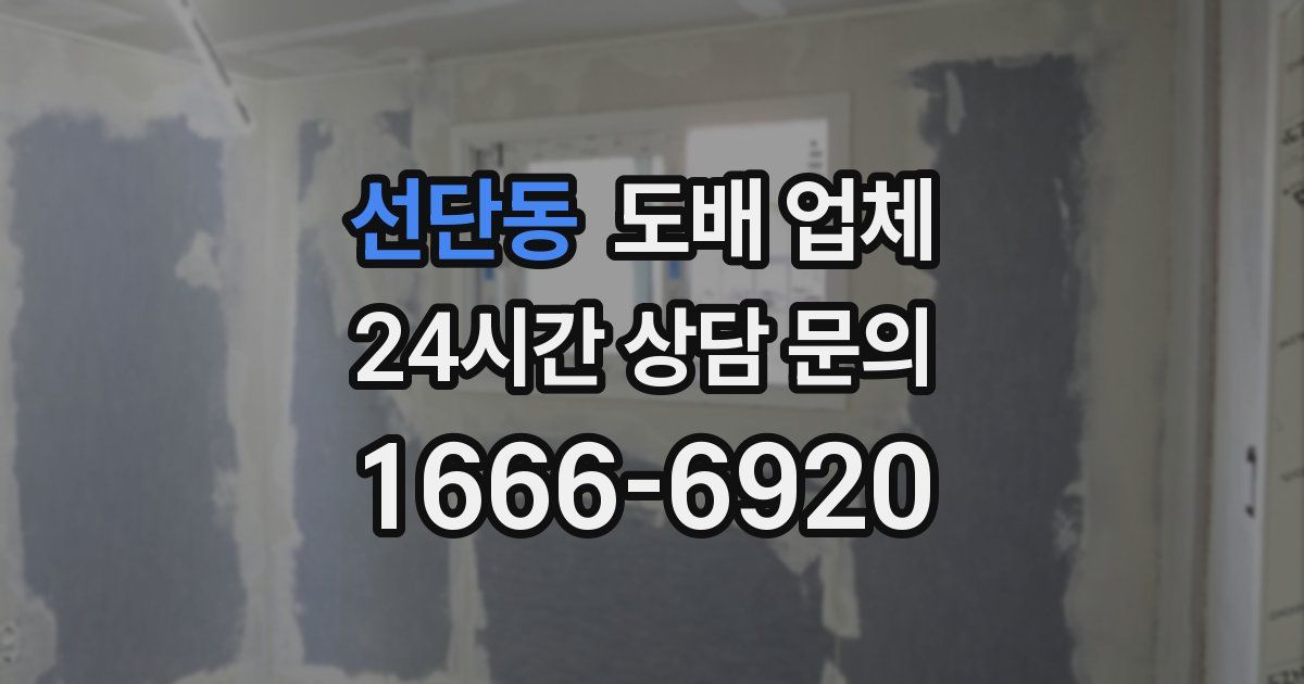선단동 도배 업체